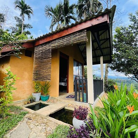 Rainforest Nature House 代尼耶耶 外观 照片
