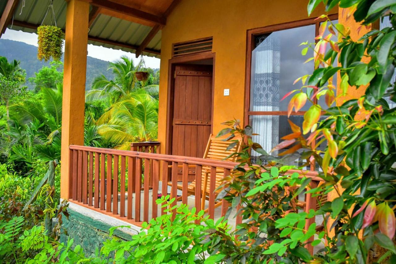 Rainforest Nature House 代尼耶耶 外观 照片
