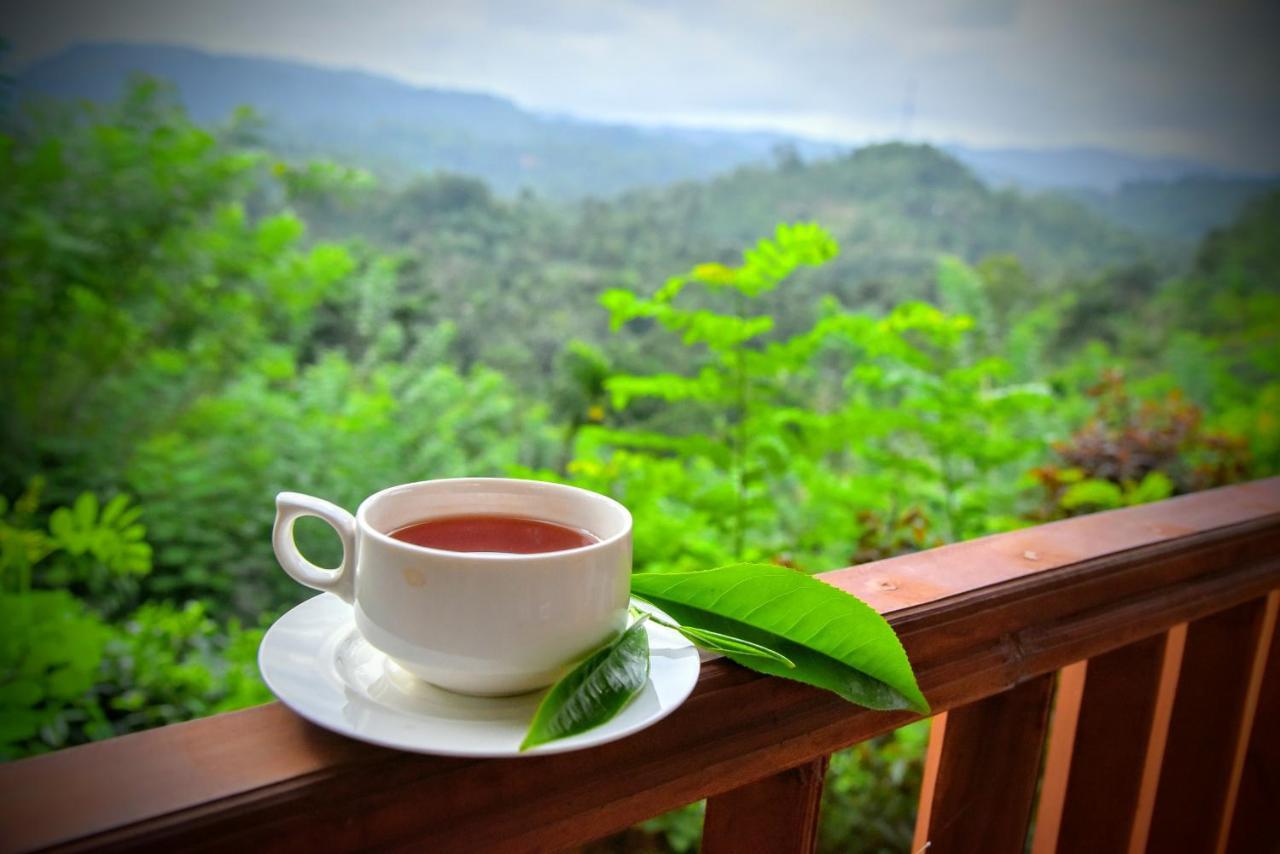 Rainforest Nature House 代尼耶耶 外观 照片