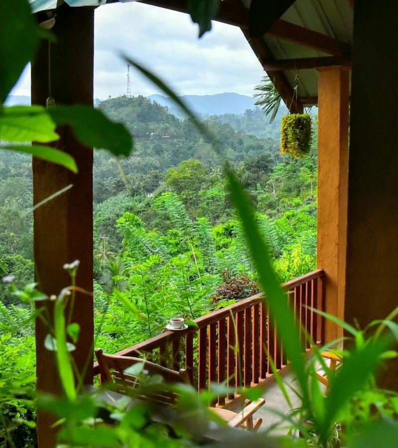 Rainforest Nature House 代尼耶耶 外观 照片