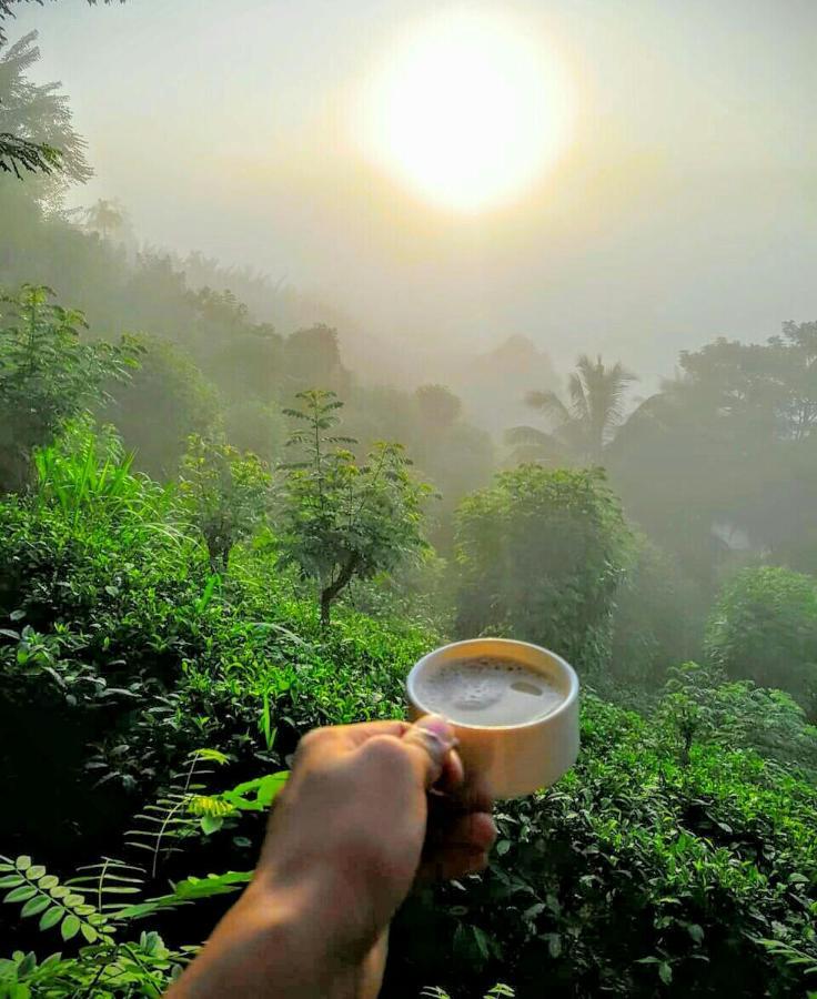 Rainforest Nature House 代尼耶耶 外观 照片