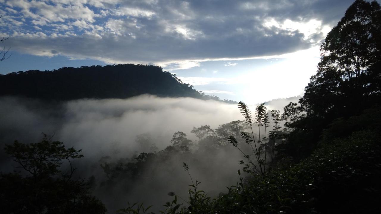 Rainforest Nature House 代尼耶耶 外观 照片