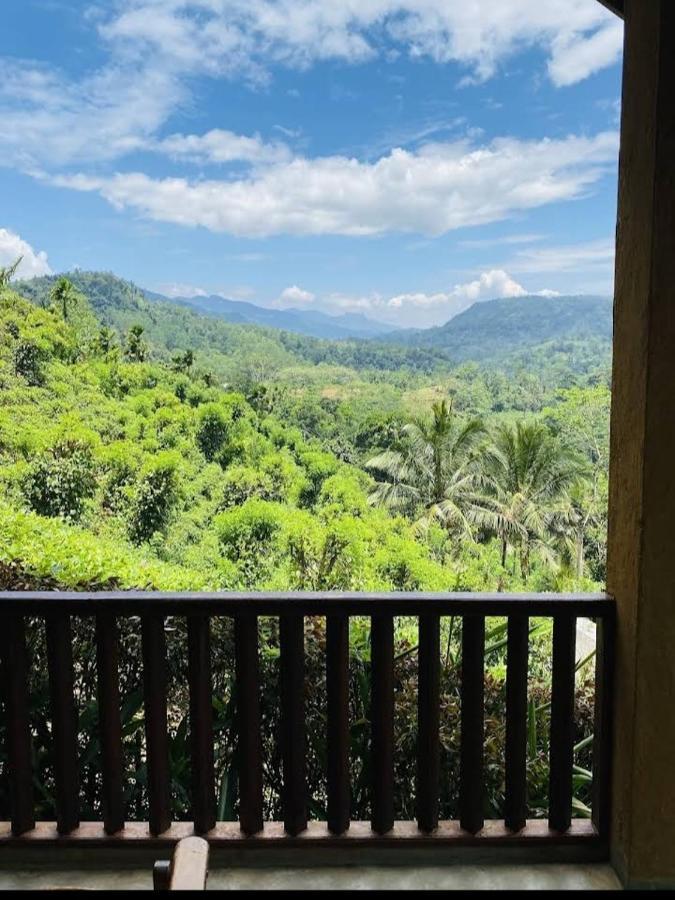 Rainforest Nature House 代尼耶耶 外观 照片