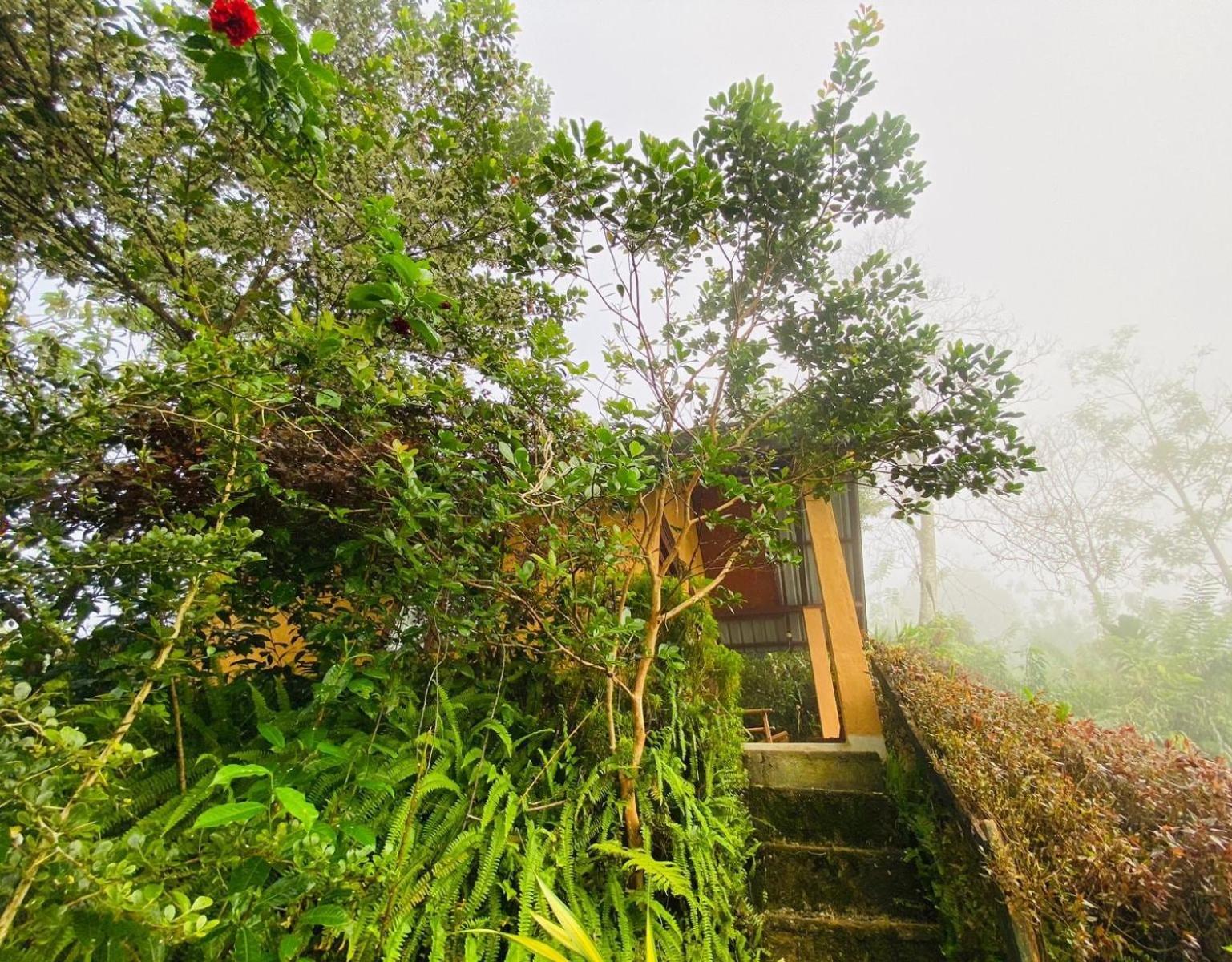 Rainforest Nature House 代尼耶耶 客房 照片