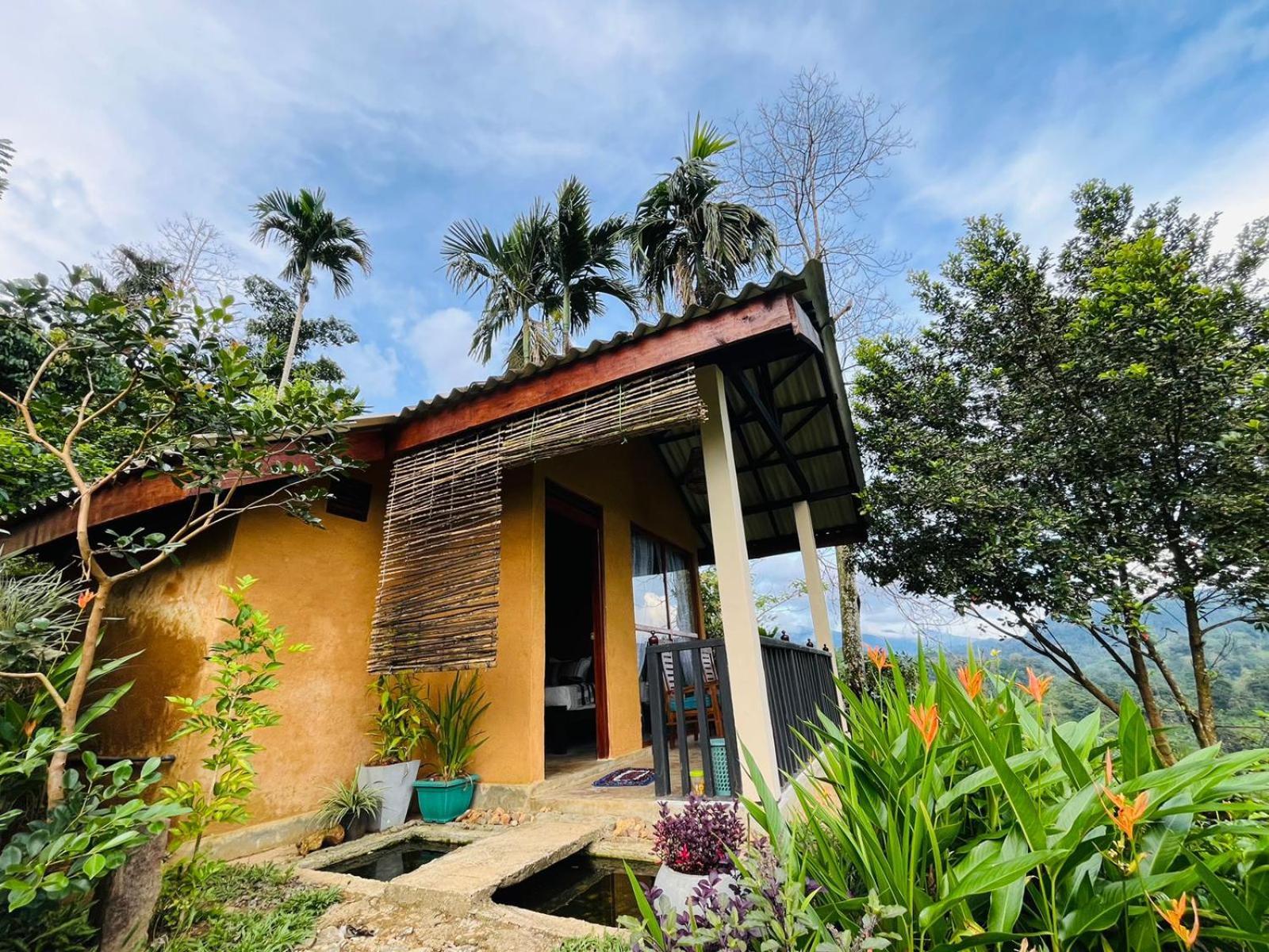 Rainforest Nature House 代尼耶耶 客房 照片