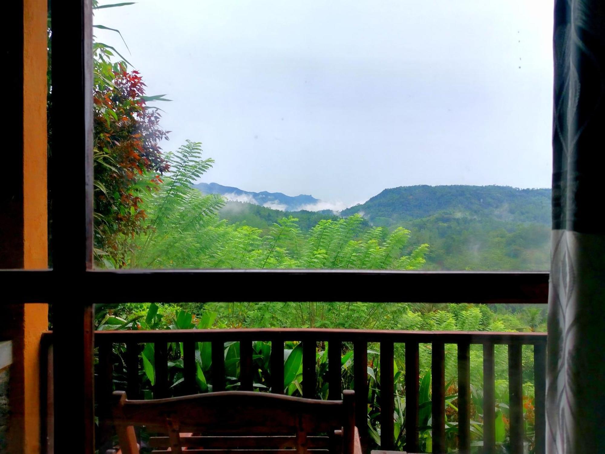Rainforest Nature House 代尼耶耶 客房 照片